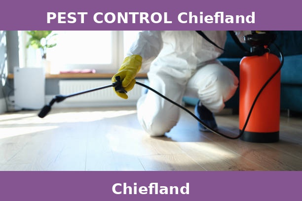 PEST CONTROL Chiefland